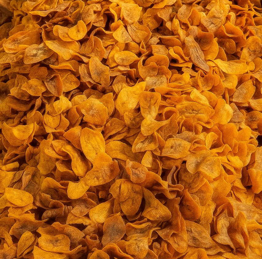 Chips de plátano FRISTOS
